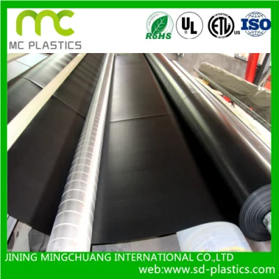 HDPE /LDPE /EVA Geomembrane 0.2mm-3mm Thickness Pond Liner
