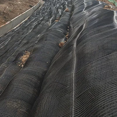 Fiberglass/Polyester Biaxial Geogrid/PP Polyester Uniaxial Geogrid/Plastic/Mining/Steel-Plastic Geogrid