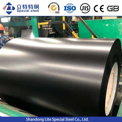 PPGI CGCC SPCC SGCC DC51D DC52D DC53D DC54D Pre-Painted Galvanized Steel Coil for Manufacturer
