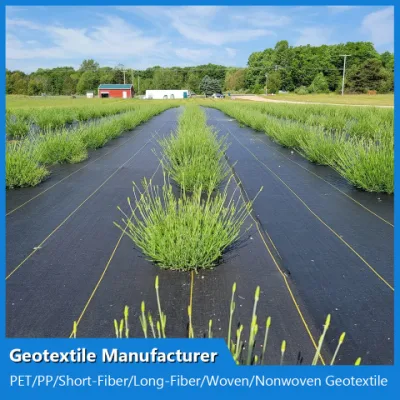 China PP Pet Woven Geotextile Factory