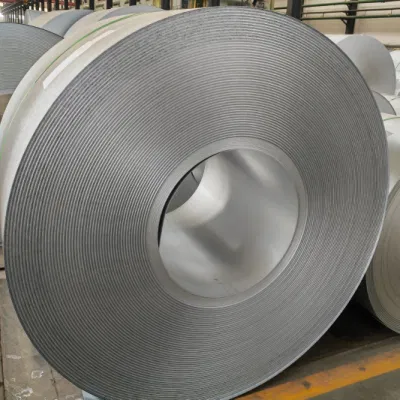 Custom Size Z30-Z275 3D PPGI Ral9003 Ral9016 White Blue Red Green PVDF PE Gi Color Coated Prepainted Galvanized PPGI PPGL Steel Coil