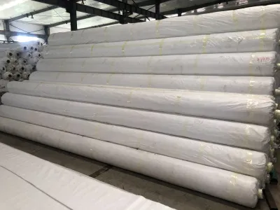 Black Polypropylene PP Woven Geotextile Fabric for Mine Landfill Coast Geotube Soil Slope