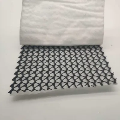 5mm HDPE 3D Composite Drainage Geonet for Landfill Network