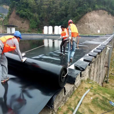 100% Virgin HDPE Impermeable Geomembrane for Fish Farm Pond