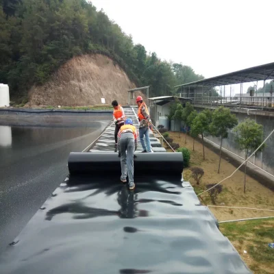 100% Virgin HDPE Impermeable Geomembrane for Fish Farm Pond