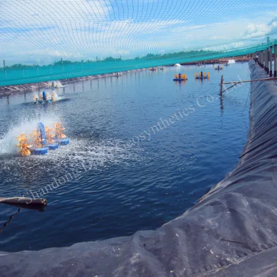 Aquaculture Fish Farm Biofloc HDPE Plastic Film Roll Dam Lining Geomembrane