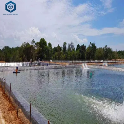 HDPE Geomembrane Manufacturer Waterproofing Plastic Sheet Liner for Fish Farm Tank