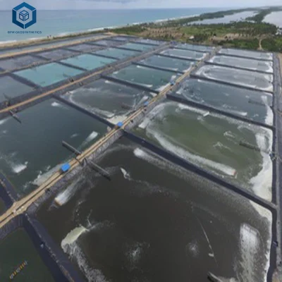 HDPE Geomembrane Manufacturer Waterproofing Plastic Sheet Liner for Fish Farm Tank