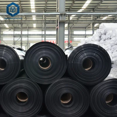 CE ISO Certification Reservoir Liner Geomembrane for Artificial Lake in Kenya