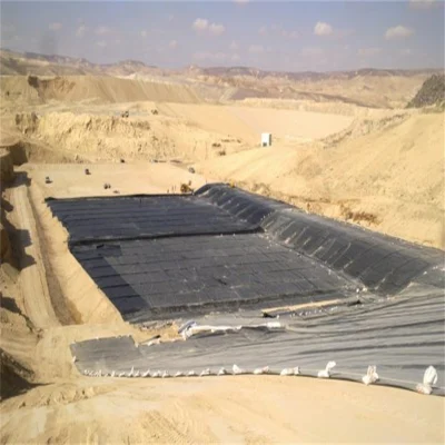 HDPE LDPE Geomembrane China Manufacturer