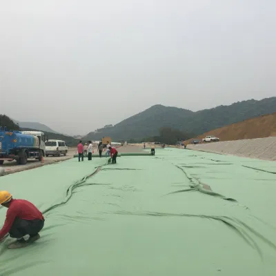 Earthwork Products Polyester PP Membrane Nonwoven Geotextile Filter Fabric Price