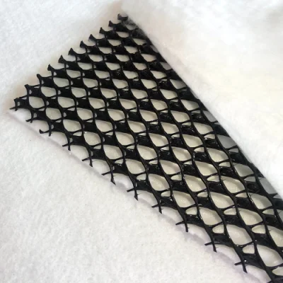 High Quality Three-Dimensional Composite Geonet Cross Waterproof for Railway Drainage Price
