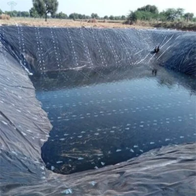 HDPE LDPE Geomembrane China Manufacturer