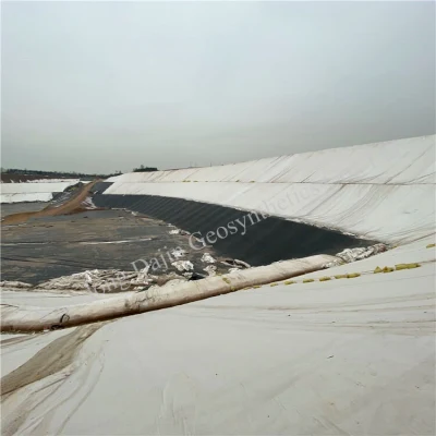 Non Woven Geotextile Needle Punched Nonwoven PP Geo Textiles