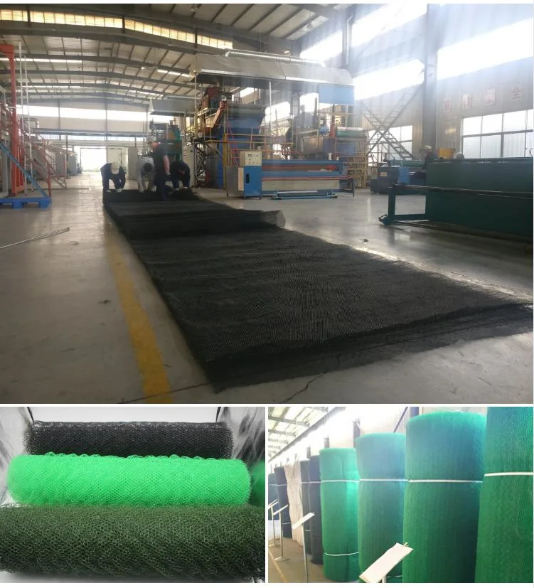 Mat Three -Dimensional Geomat Three Layers Plastic 3D Geomat for Slope Erosion Control Reinforcement Project Em5