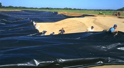 HDPE LDPE Geomembrane China Manufacturer