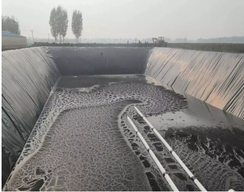 ASTM Standard HDPE Geomembrane with Two Side Geotextile