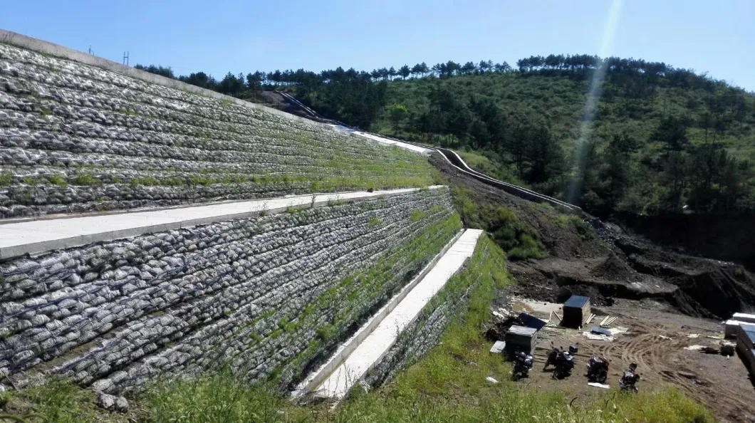 One-Way Plastic Geogrid for Slope