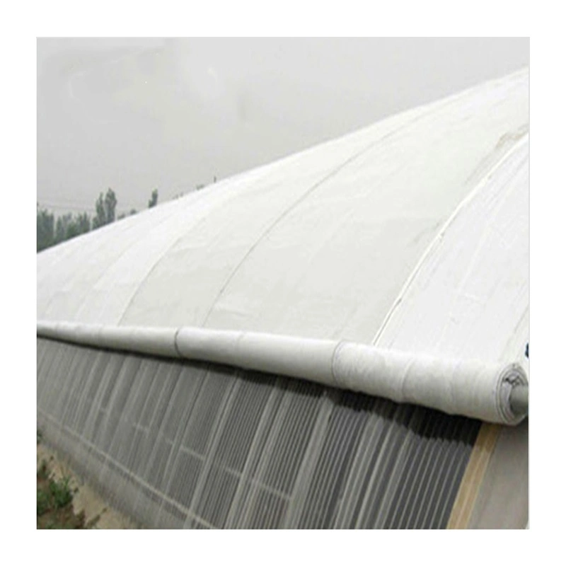 PP Pet Geotextile Non-Woven Fabric for Separation Under Pavers, Weed Barrier