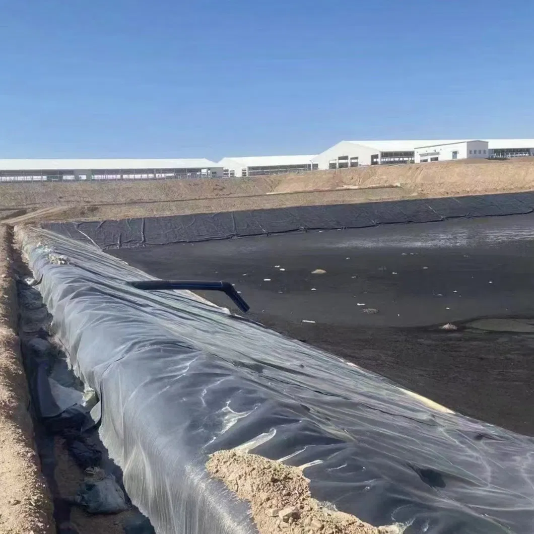 Black HDPE High Quality Geomembrane Manufacturer Price