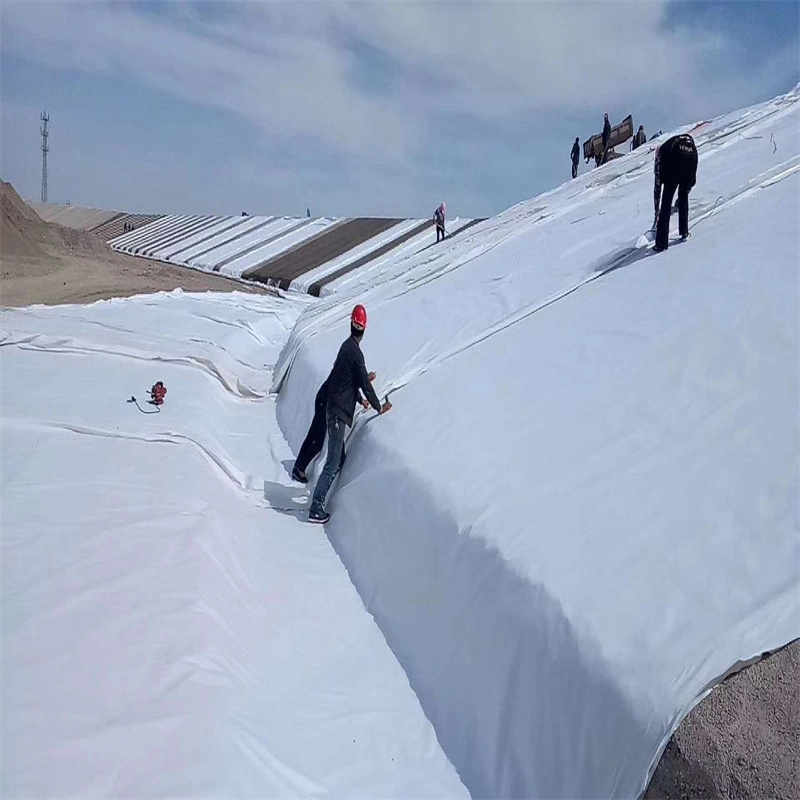 Factory Price 1reinforced Nonwoven Geotextile Price for Road Construction