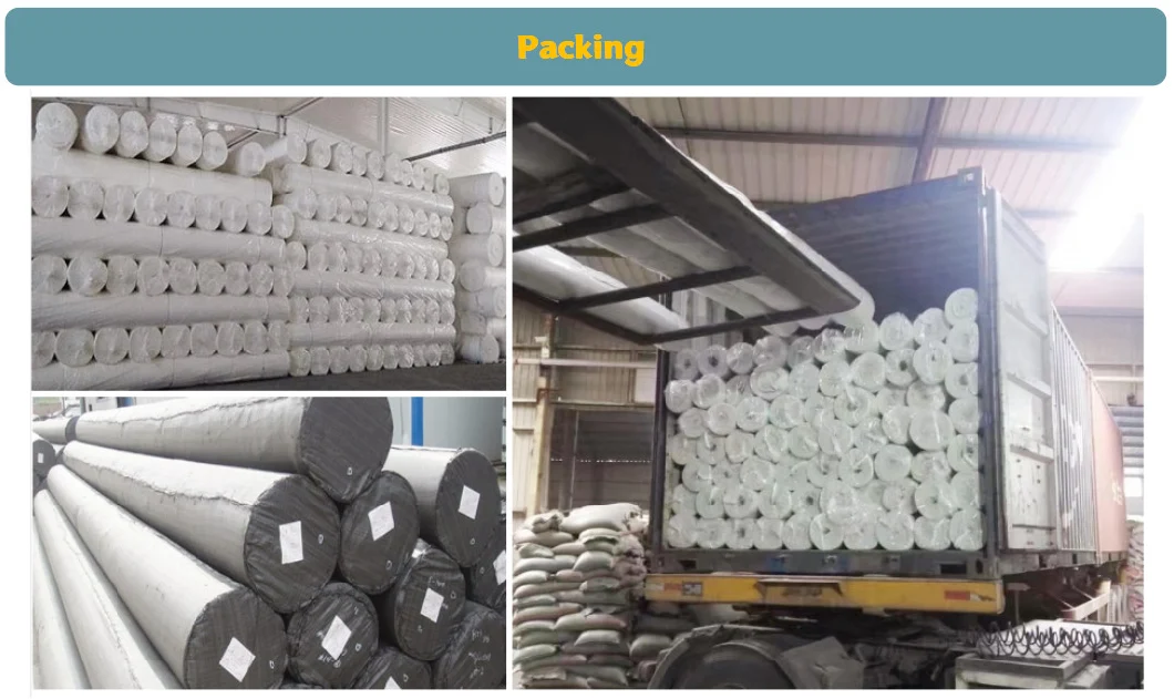 Customized 100g/Sqm - 800g/Sqm Geotextile for Environment Project, White/Green/Black Geotextile