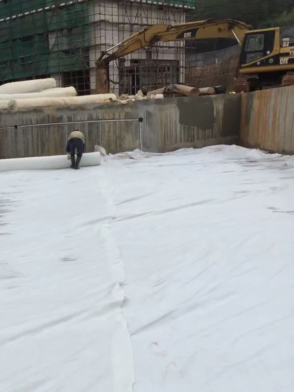 Customized Pet Filtration Geotextile for Drainage and Separation