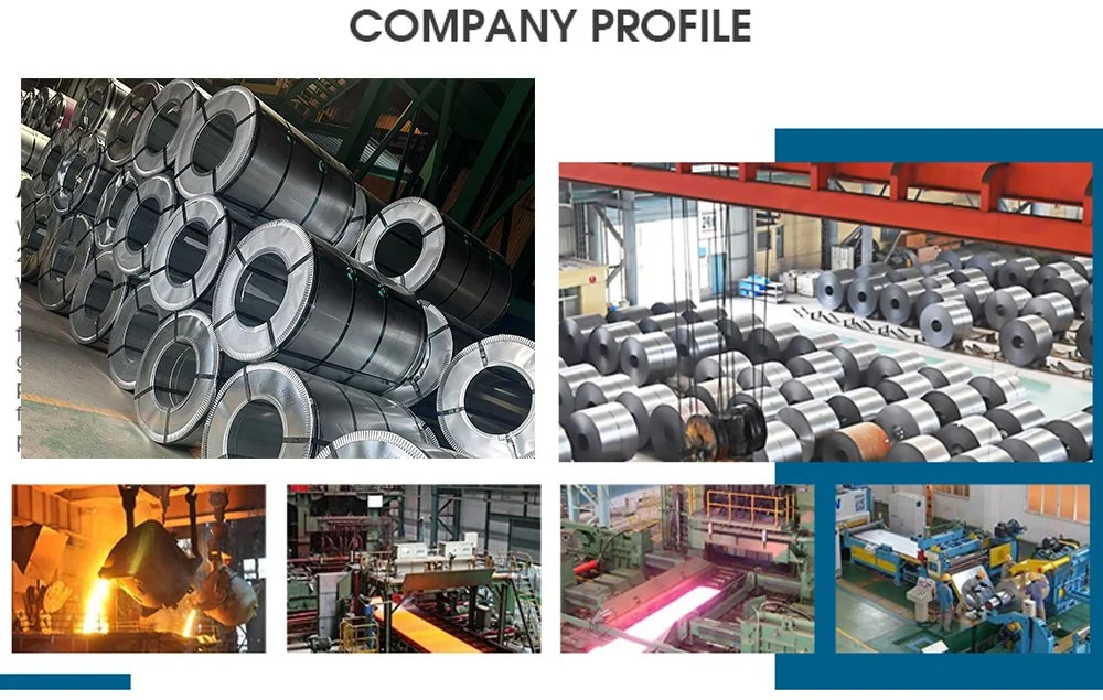 Factory Custom PPGI/PPGL/Ppai/Ai/Galvanized/Gi/Galvalume/Gl/Steel/Aluminum/Aluminium/Zinc Aluminum/Zinc Coated/Color Coated/Prepainted/Coil and Sheet