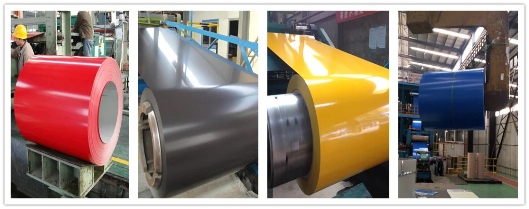 Tianjin Supplier Color Coated PPGI Prepainted Galvanized Steel Coils Price for Construction and Transport