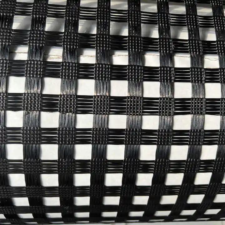 Steel Plastic Glass Fiber Unidirectional and Bidirectional Plastic Geogrid for Construction Site