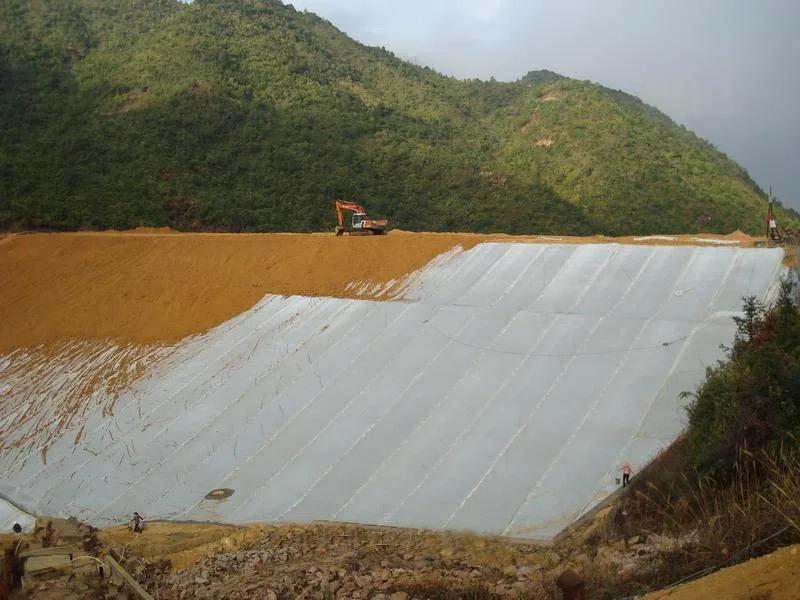 High Quality HDPE/LLDPE/PVC Waterproofing Geomembrane, Drainage Geocomposite