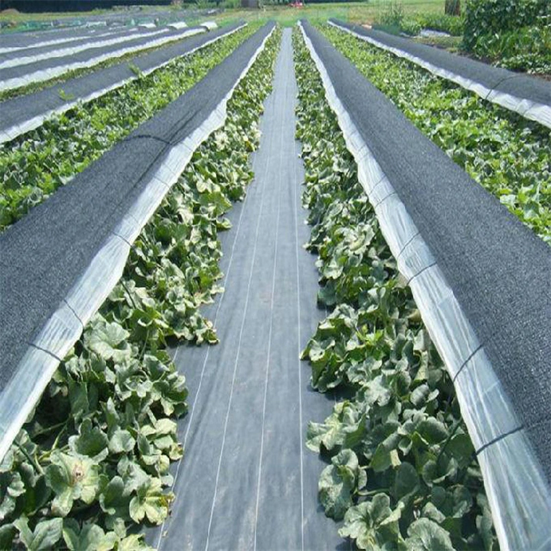 90 Grams Moisture-Retaining Ground Cloth Weeding Cloth for Agricultural Orchards