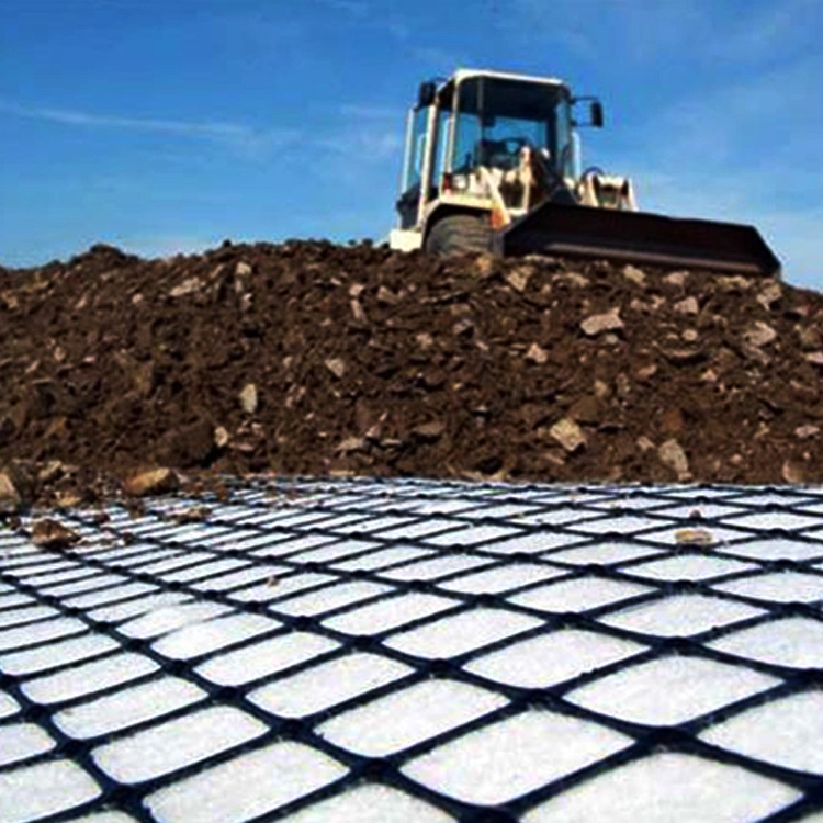 China Shop Online Plastic Geogrid 3030 for Road