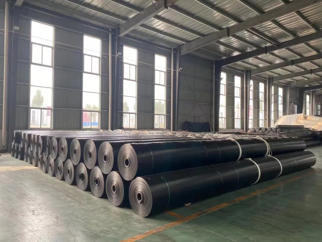 Smooth Textured Geotextile and Price Sheet Dam Waterproof Membrane HDPE Geomembrane Liner