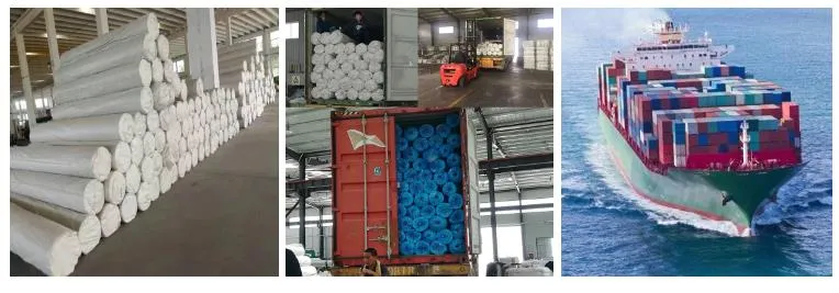 China Factory Direct PP Non Woven 300g M2 Geotextile Fabric Price PP Geotextile
