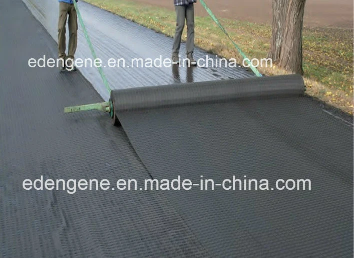 Ce Approval Polyester Geogrid Composite Coated Bitumen for Highway Reinforcement China