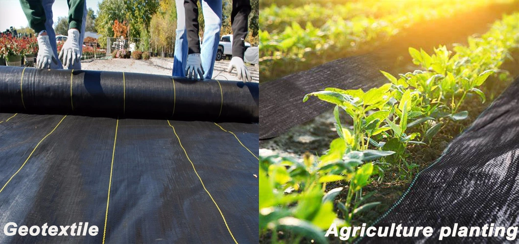 China Factory PP/PE Woven/Non-Woven Landscape Weed Control Barrier Geotextile for Agriculture Chinese Supplier