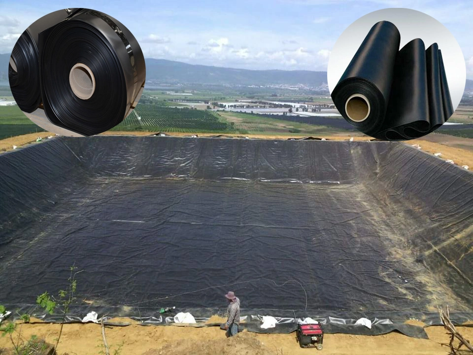 HDPE Geomembrane Liner with ASTM Standard for Swimming Pool Shrimp Pond