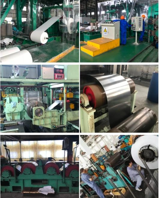 China Professional Supplier 309S 316 201 304 321 Pre Painted Galvanized Steel Strip Stainless Steel Coil