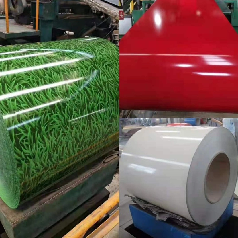 Ral 1013 1015 PPGI 0.48mm Color Coated Gi Steel Coil PPGI Coils Prepainted Galvanized Sheet Price Manufacturer PPGI in Coil Gi Coil