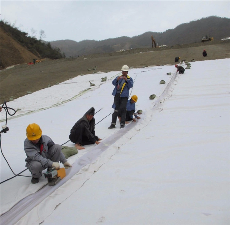 Polyethylene Liner Composite Geotextile Geomembrane in Road Construction