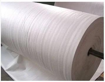High Quality Polypropylene/Polyester Fabric Non Woven Geotextile for Road Construction