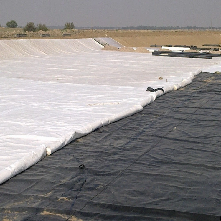 ISO CE Certification HDPE Plastic Liner Geomembrane for Fish Tank in Indonesia