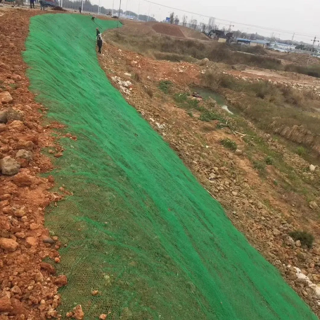 3D Geomat China Supply Geomat for Slope Protection Greening Grass Erosion Control Landscape