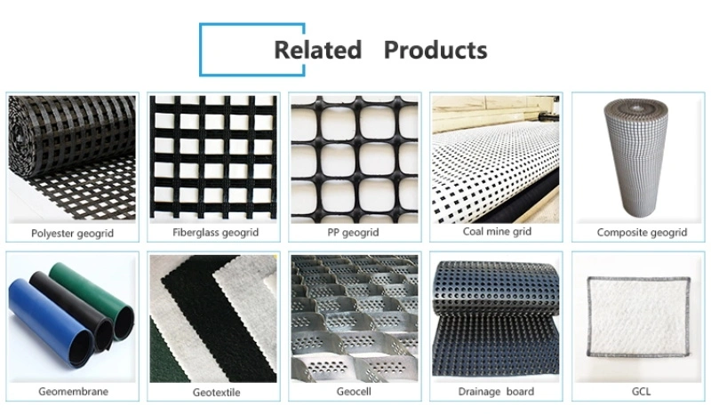 Convenient Construction Green Roof Geotextile Drainage Board