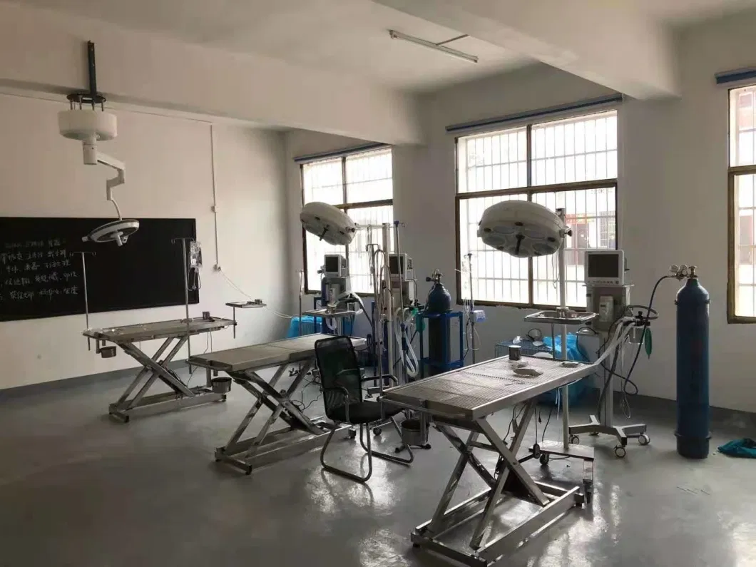 Factory Supply Luxury Electric Medical Table Veterinary Animal Operating Table