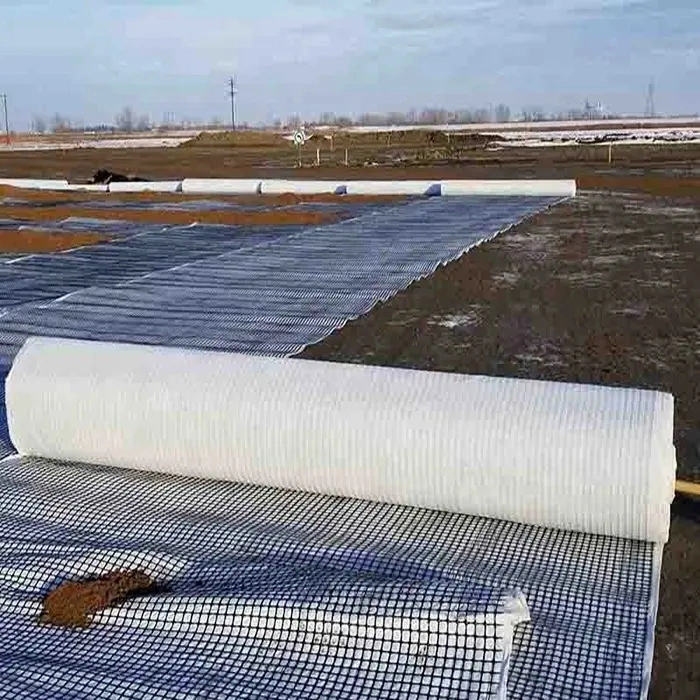 Building Material Polyester Fabric Geogrid Composite with Geotextile Basement Reinforcement