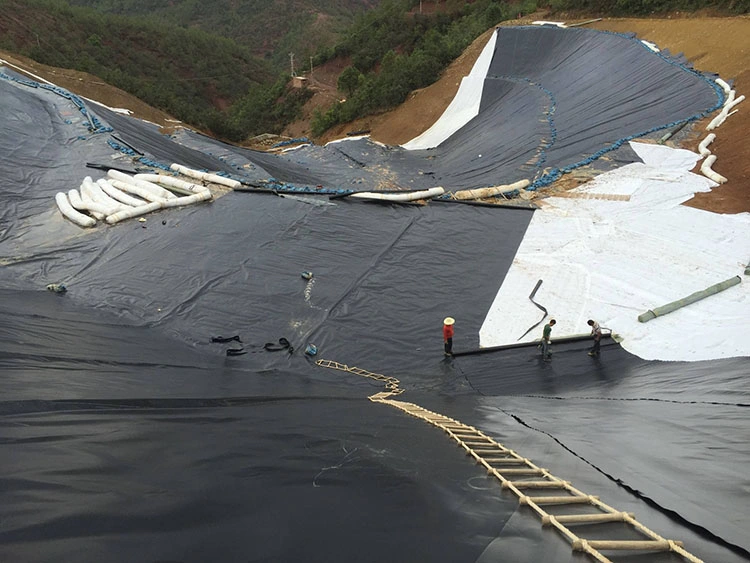 ASTM Gri GM13 Standard 0.3mm 0.5mm 0.75mm 1mm 1.5mm 2mm 100% Virgin Material HDPE/LDPE/LLDPE Geomembrane for Landfill Fish Farming Shrimp Pond