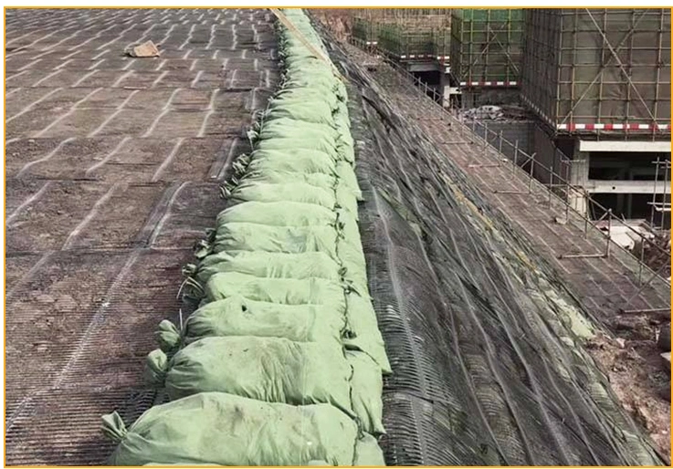 Uniaxial Plastic Geogrid 200kn Used in Retaining Wall Factory Direct Sale