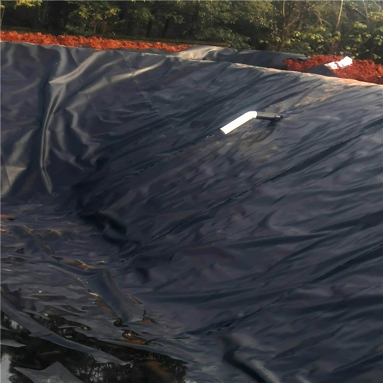 HDPE Smooth Geomembrane HDPE Liner Geomembrane for Aquaculture in The Kenya